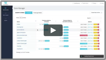 Shopify Multi-Store